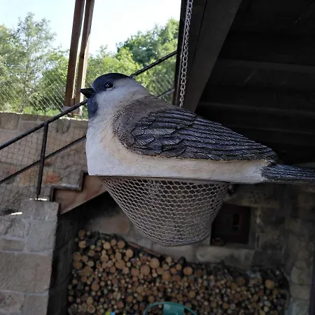 Сasa de vacaciones Quinta De Fermil - Casas Vouzela