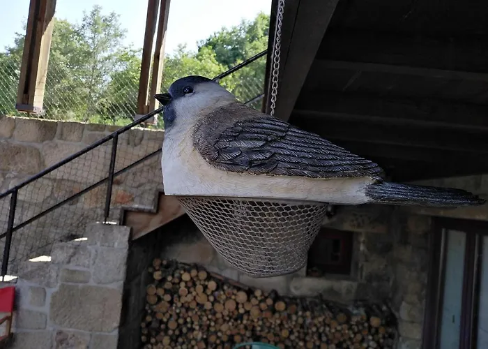 Prázdninový dům Quinta De Fermil - Casas Vouzela